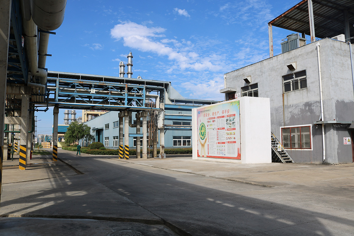   Production plant area