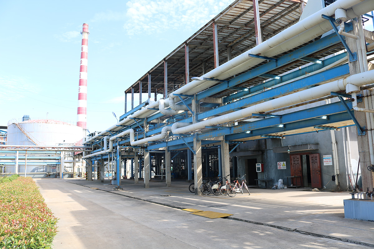   Production plant area