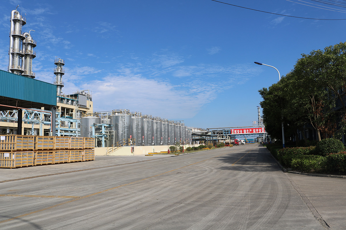   Production plant area