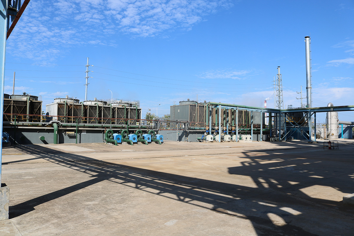   Production plant area